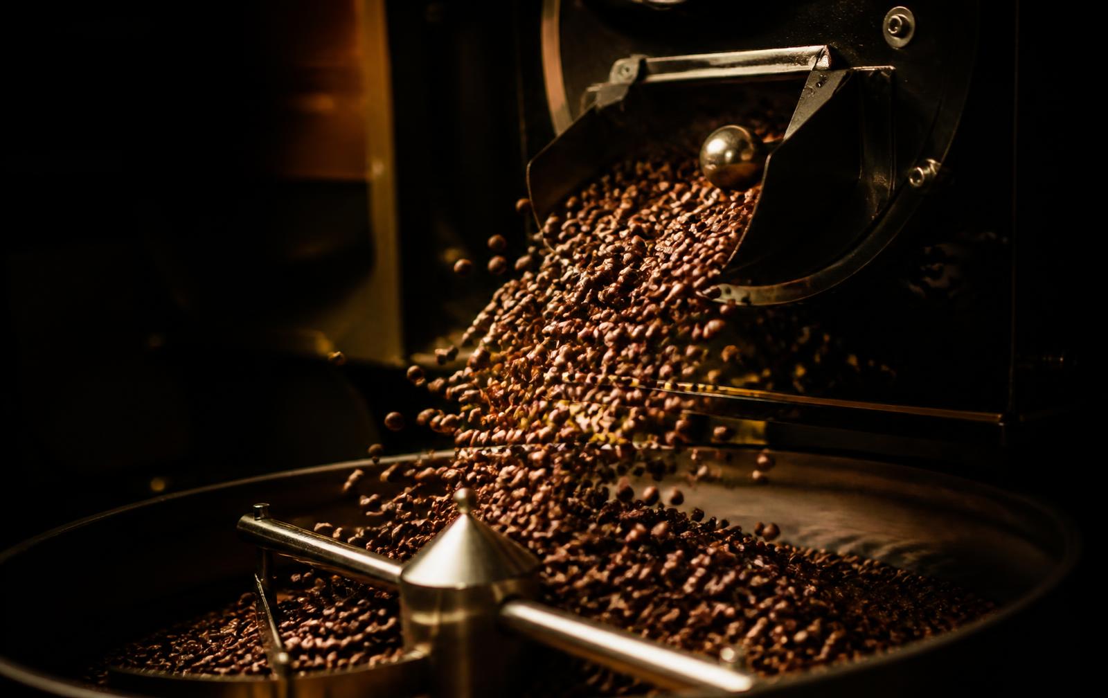 Roasted coffee beans tumbling from a roaster drum